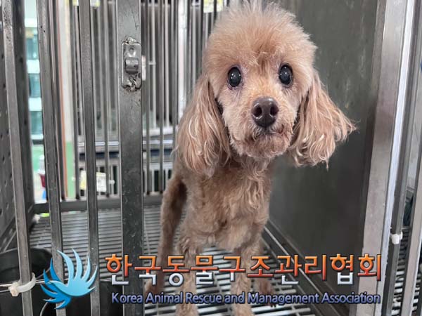 한국동물구조관리협회_441392202400270