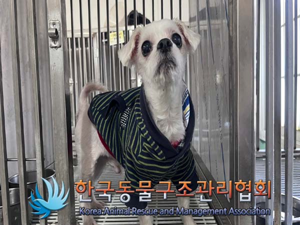 한국동물구조관리협회_411304202400537