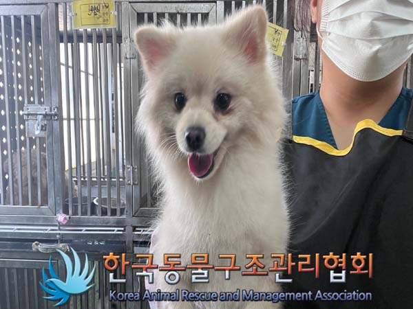 한국동물구조관리협회_411304202400538