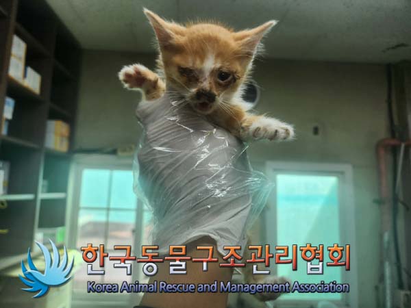 한국동물구조관리협회_411300202400435