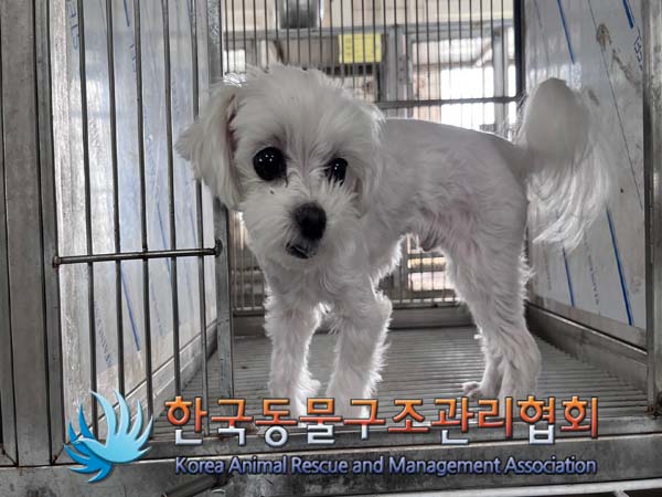 한국동물구조관리협회_411307202400508