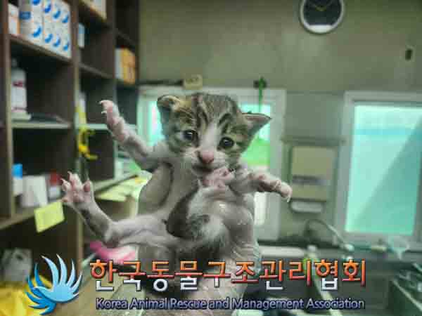 한국동물구조관리협회_411315202400519