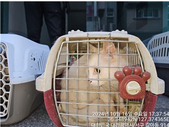 대전동물보호센터_430366202400565
