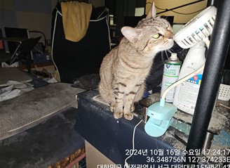 대전동물보호센터_430366202400567