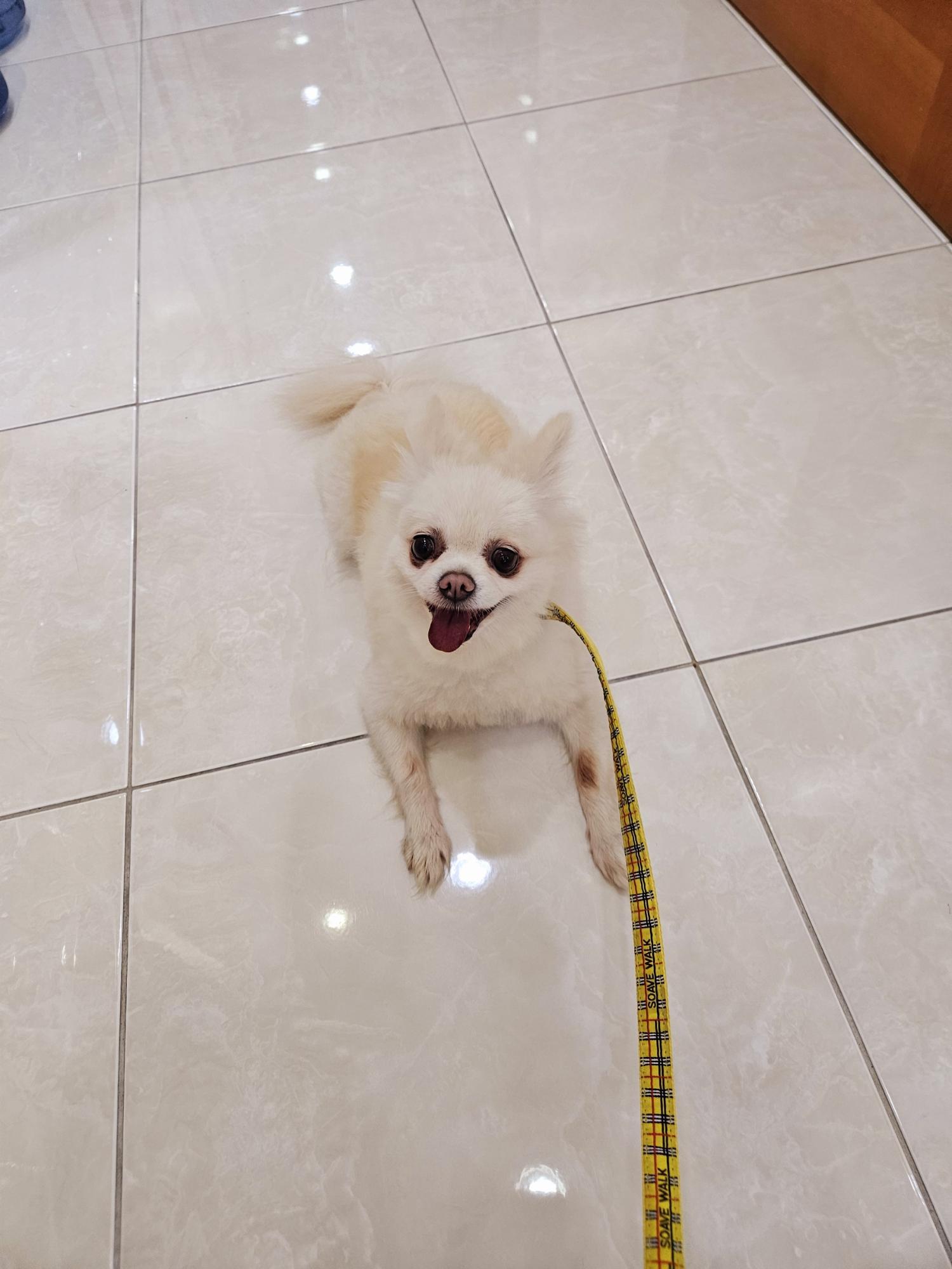 제니스동물병원_427346202401250