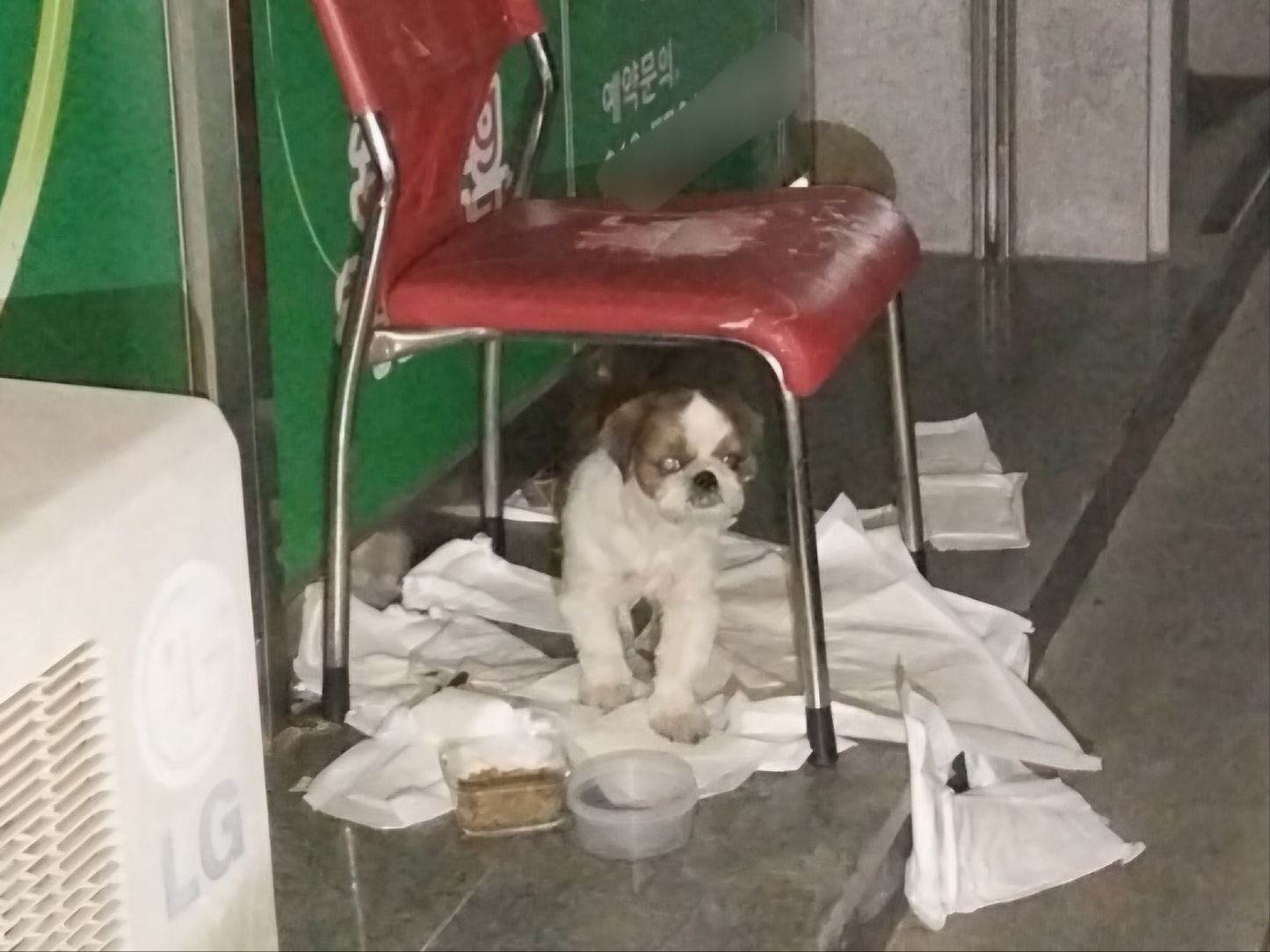 (사)영일동물플러스_447502202401398