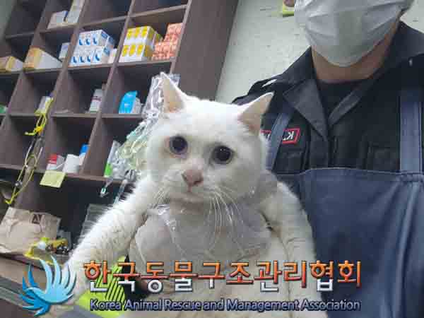 한국동물구조관리협회_411301202400346