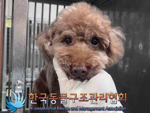 한국동물구조관리협회_411305202400667