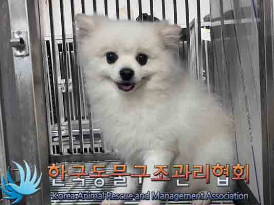 한국동물구조관리협회_411301202400345