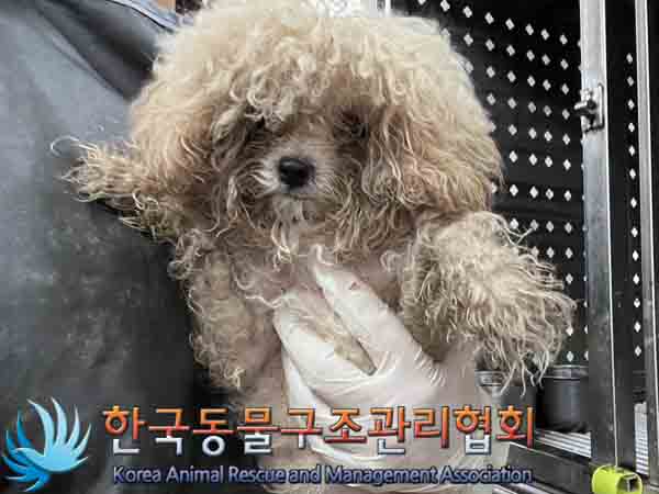 한국동물구조관리협회_441382202400769