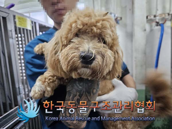 한국동물구조관리협회_441406202401780