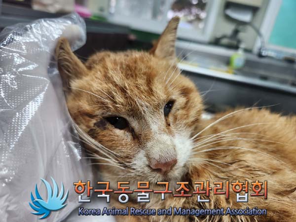 한국동물구조관리협회_441560202401282