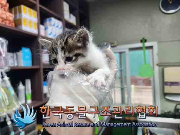 한국동물구조관리협회_441409202401552