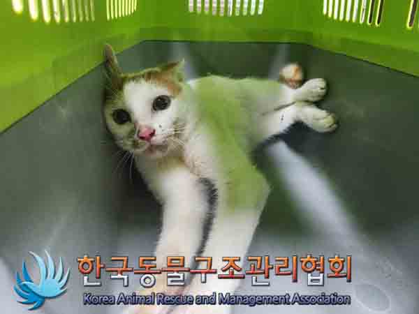 한국동물구조관리협회_411306202400822