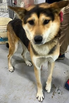 인천광역시수의사회_428353202401032