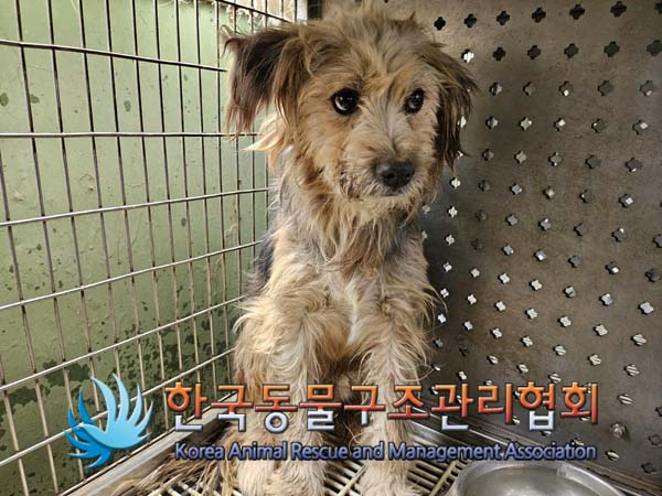 한국동물구조관리협회_441414202400797