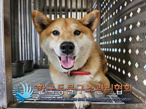 한국동물구조관리협회_441559202401086