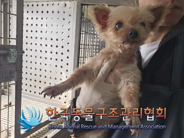 한국동물구조관리협회_441392202400271