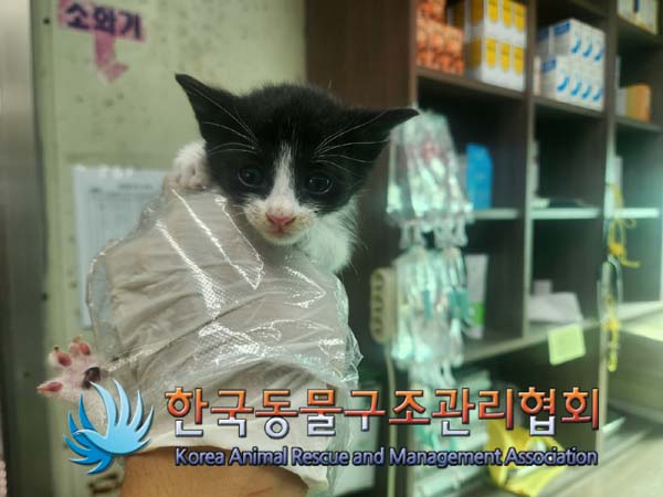 한국동물구조관리협회_441559202401089