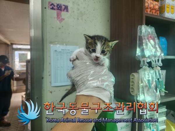 한국동물구조관리협회_441559202401090