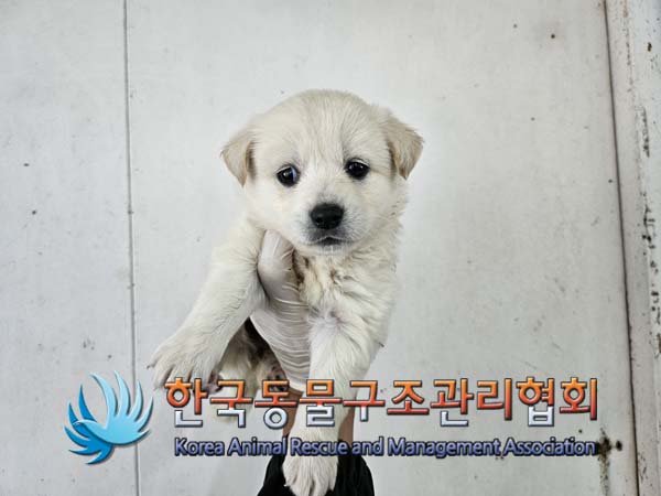 한국동물구조관리협회_441414202400800