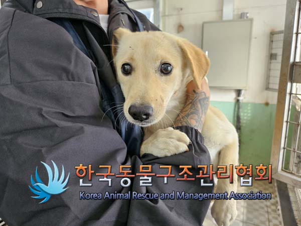 한국동물구조관리협회_441414202400798