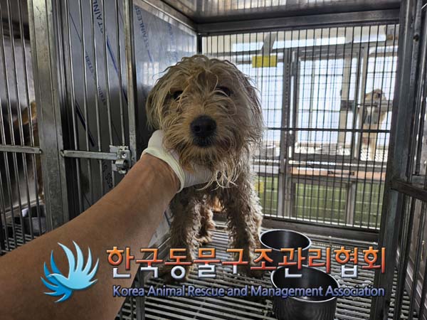 한국동물구조관리협회_441560202401288