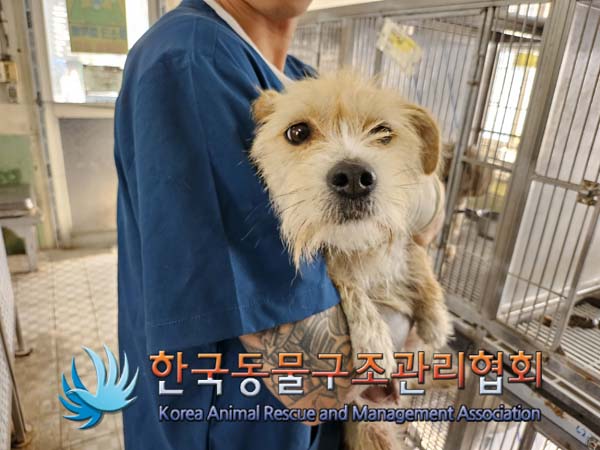 한국동물구조관리협회_441560202401287