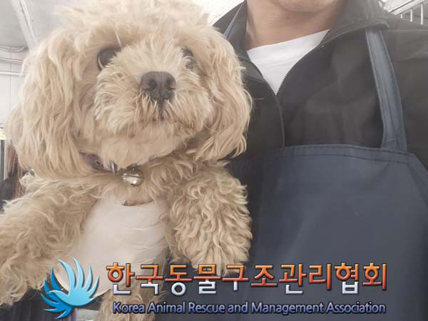한국동물구조관리협회_441560202401289