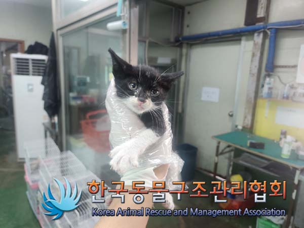 한국동물구조관리협회_411315202400531