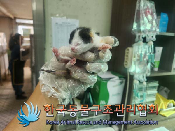 한국동물구조관리협회_441406202401788
