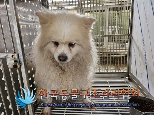 한국동물구조관리협회_441560202401290
