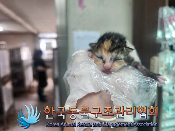 한국동물구조관리협회_441406202401789