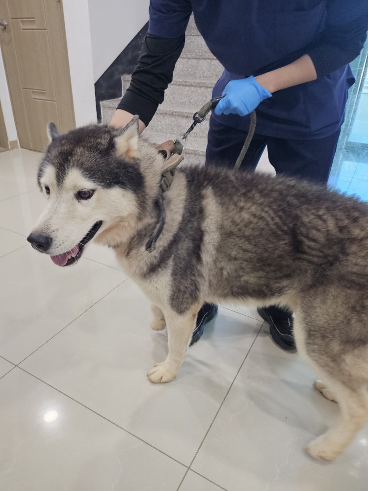 반려동물보호센터_443571202402847