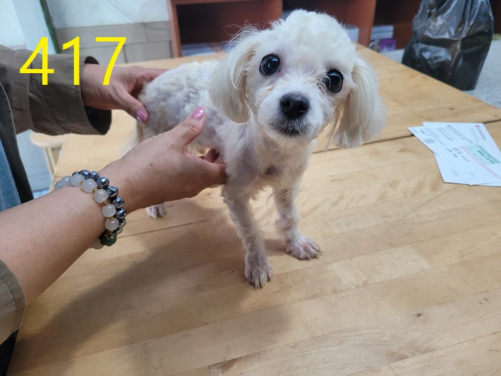 신영재동물병원_428355202400739