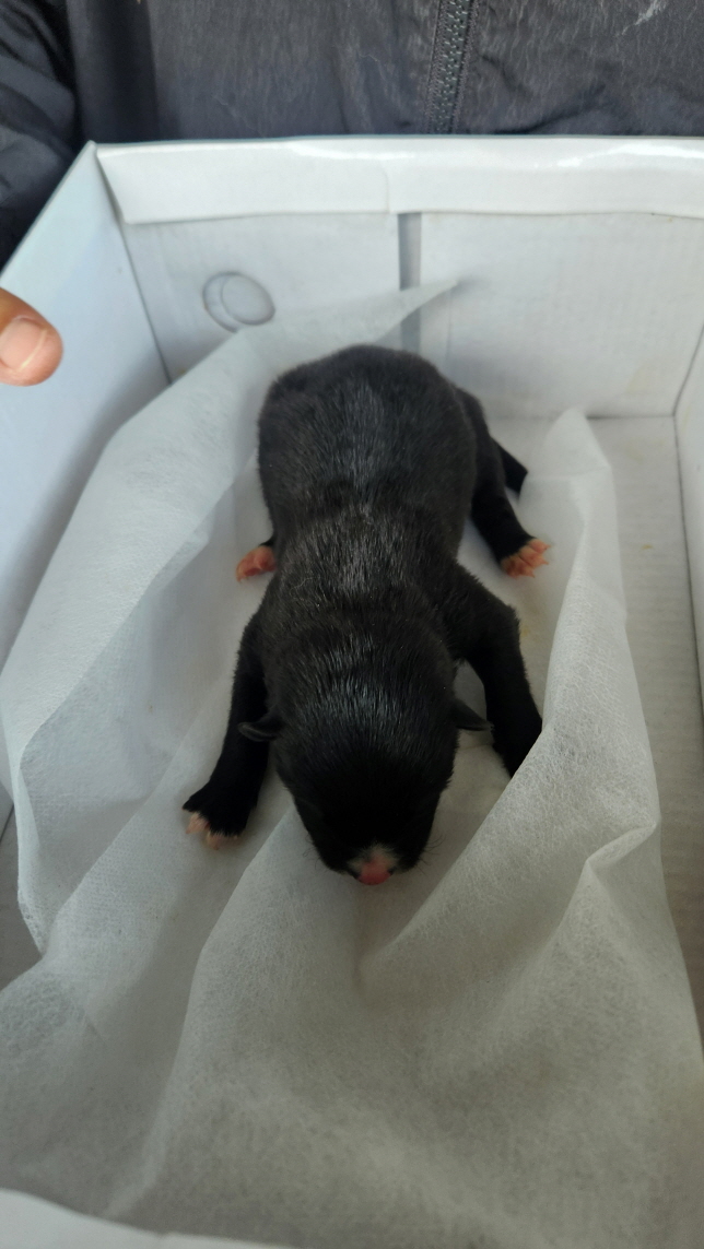 익산유기동물보호소_445468202402857