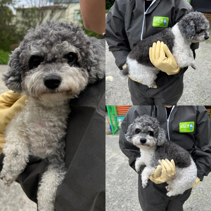 당진시동물보호소_444568202400989