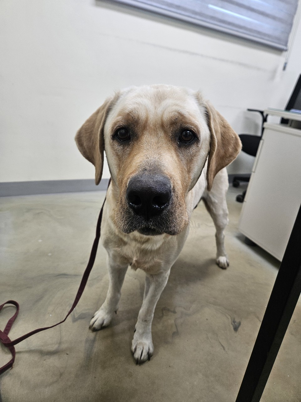 아산동물복지지원센터_444452202402139