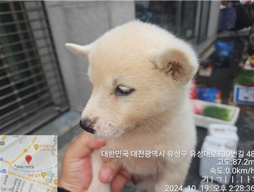 대전동물보호센터_430367202400757