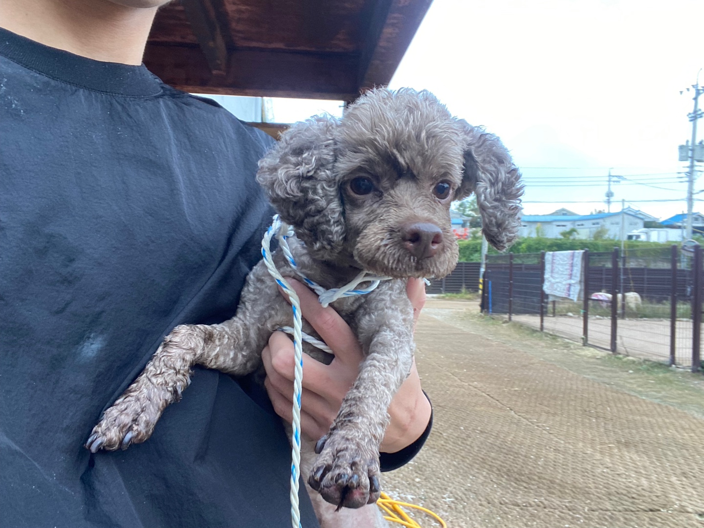 한국야생동물보호협회_441402202400624