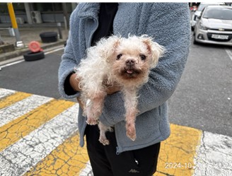 대전동물보호센터_430366202400571