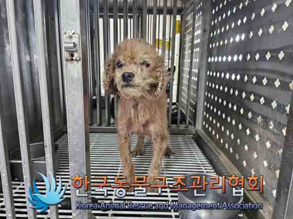 한국동물구조관리협회_441409202401621