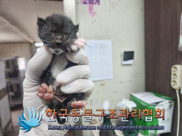 한국동물구조관리협회_411304202400543