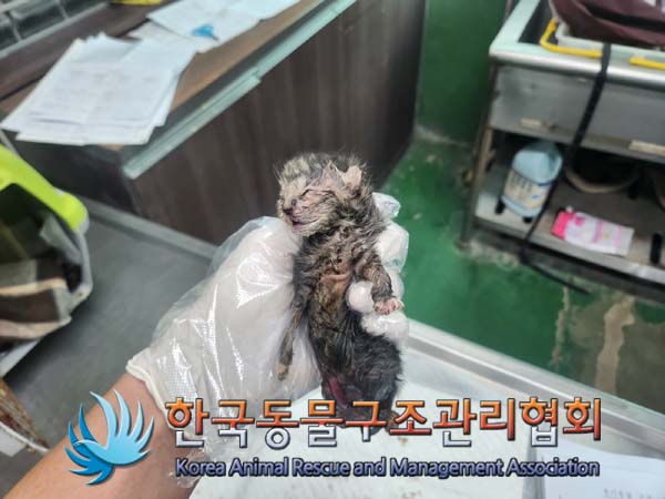 한국동물구조관리협회_411304202400548