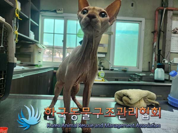 한국동물구조관리협회_441409202401629