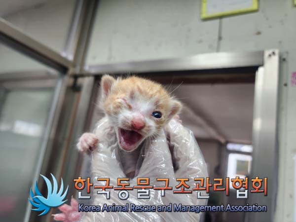 한국동물구조관리협회_441560202401293