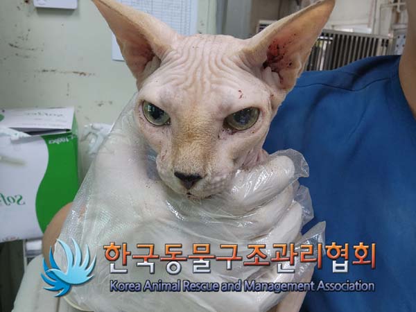 한국동물구조관리협회_441409202401624