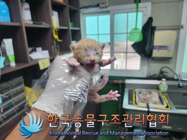 한국동물구조관리협회_441560202401291