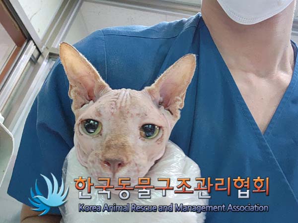 한국동물구조관리협회_441409202401627