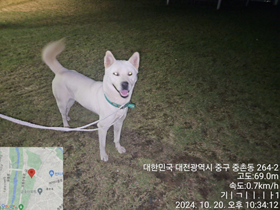 대전동물보호센터_430365202400520